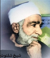 شیخ شلتوت