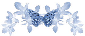 بزرگترین سایت شکلک و تصاویر متحرک ، عکس متحرک ، کاملترین سایت شکلک و تصامیر متحرک شباهنگ ، Shabahang's Gifs & animated Lines of Butterflies  تصاویر متحرک شباهنک – تصاویر متحرک جداکننده های پروانه ای 