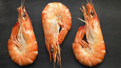 3sin_shrimp-mib-pictures-1524578402.jpg