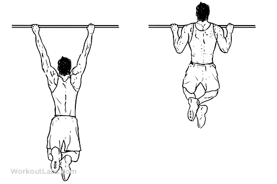 pull-up