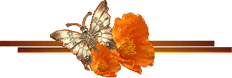 بزرگترین سایت شکلک و تصاویر متحرک ، عکس متحرک ، کاملترین سایت شکلک و تصامیر متحرک شباهنگ ، Shabahang's Gifs & animated Lines of Butterflies  تصاویر متحرک شباهنک – تصاویر متحرک جداکننده های پروانه ای 