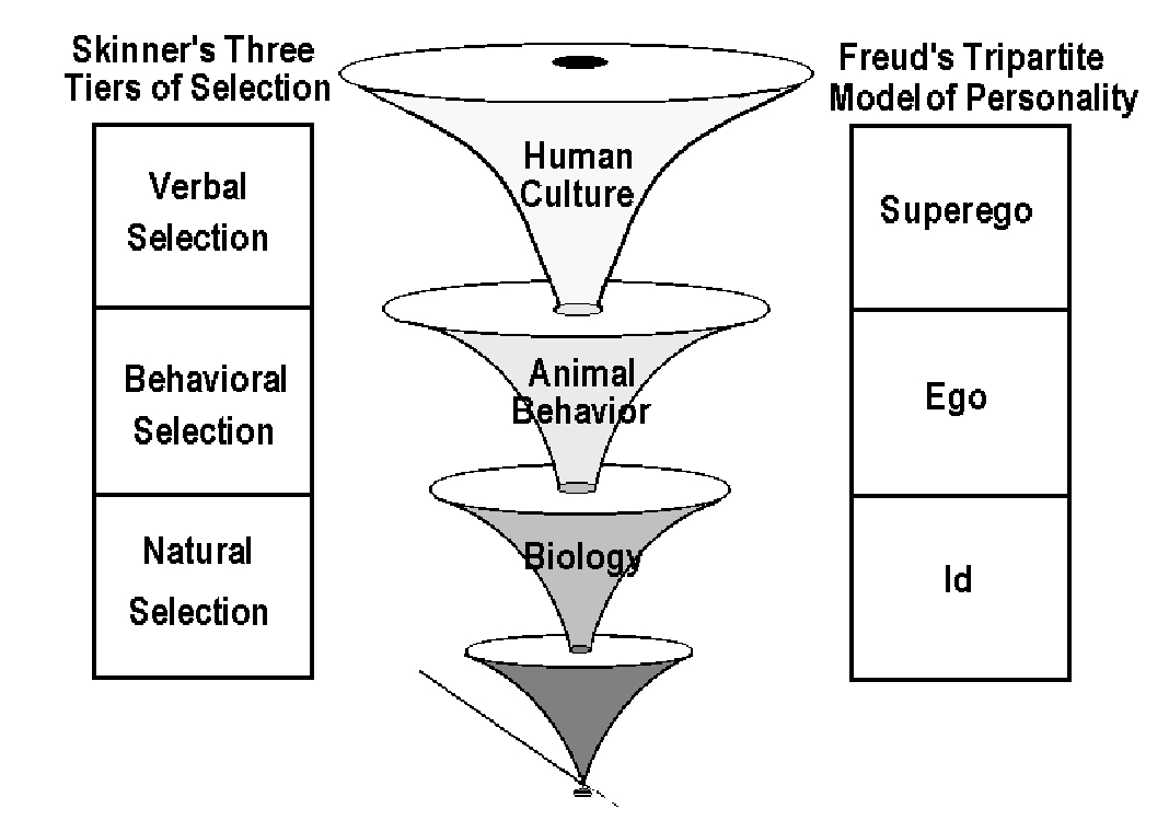 تثلیث در نظریه فروید (اید، ایگو، سوپرایگو)