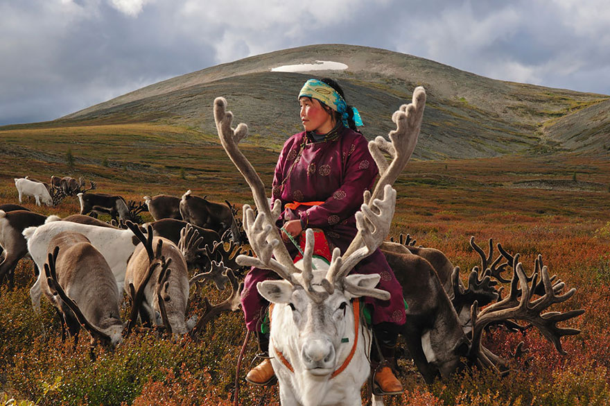 زندگی روزمرهی مردم مغولستان با گوزن ها 1
