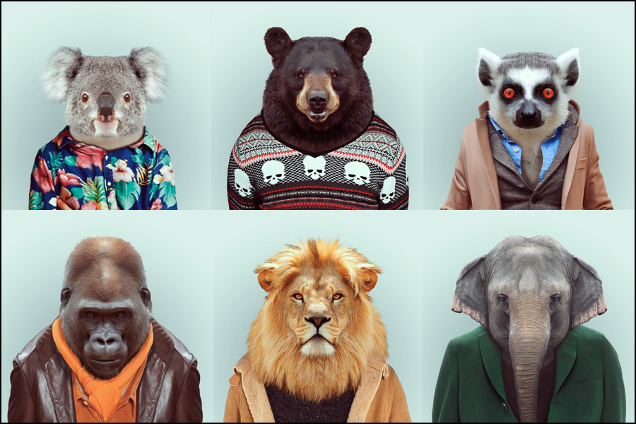 [تصویر:  a2l5_animals-dressed-as-human-people.jpg]
