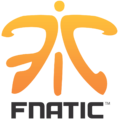 by3i 119px fnatic