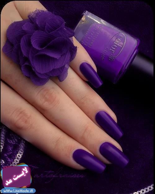 ✿✿ بــنــفــش ✿ purple ✿✿ (سری 2) 1