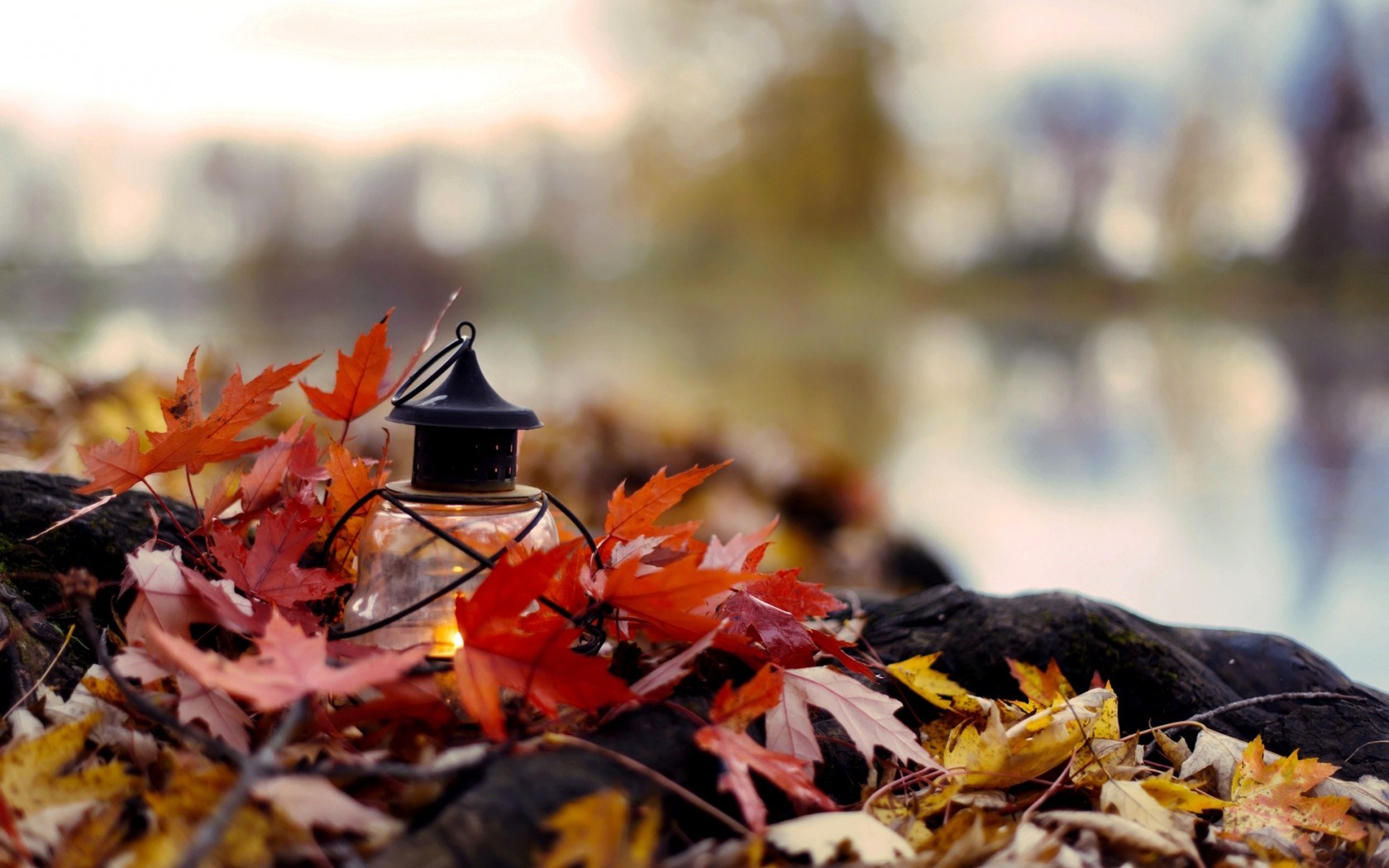 e1zo_lantern-candle-leaves-yellow-autumn-nature-background-1680x1050.jpg