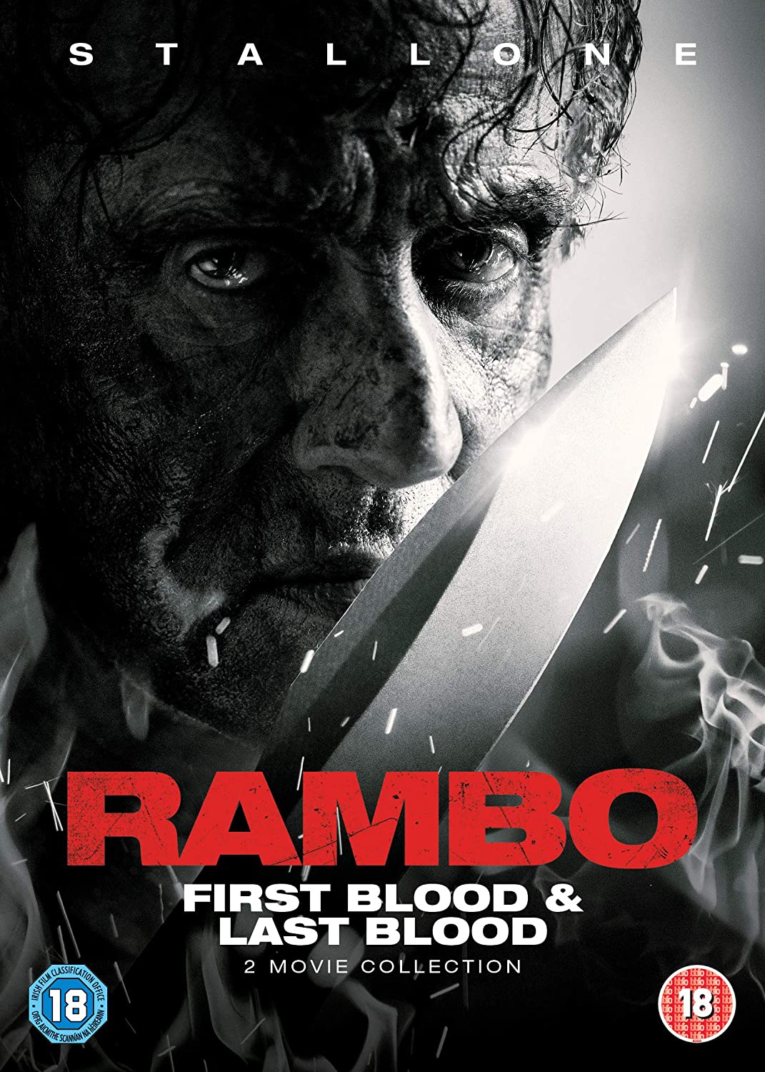 دانلود دوبله فارسی فیلم اکشن رمبو : آخرین خون Rambo : Last Blood 2019 BluRay