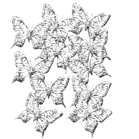 بزرگترین سایت شکلک و تصاویر متحرک ، عکس متحرک ، کاملترین سایت شکلک و تصامیر متحرک شباهنگ ، Shabahang's Gifs & animated of Butterflies تصاویر متحرک شباهنک – تصاویر متحرک پروانه ها 