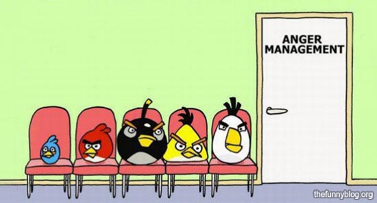 [تصویر:  j2zb_funny-angry-birds-anger-management-...-photo.jpg]