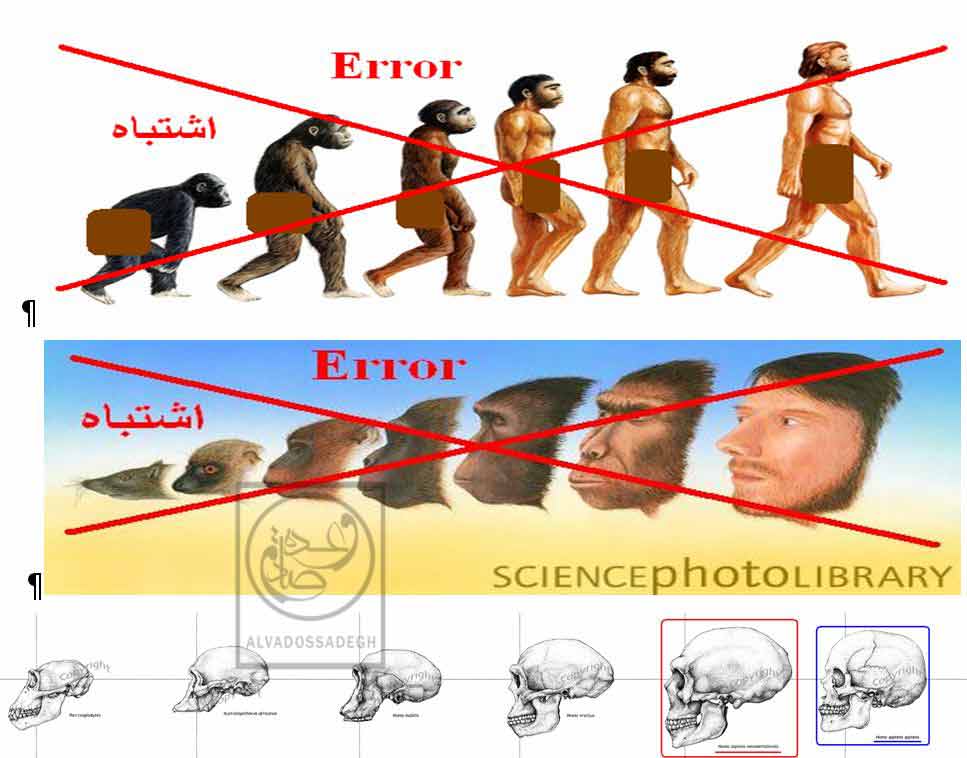 نقد علمی نظریه تکامل 