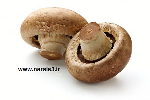 http://uupload.ir/files/p7v8_mushrooms.jpg