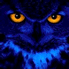 Shabahang20-Gif and Animated-Animals- Wild animals - Owl -تصاویر متحرک شباهنگ- حیوانات-حیوانات وحشی-جغد 