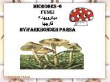 میکروبها-6