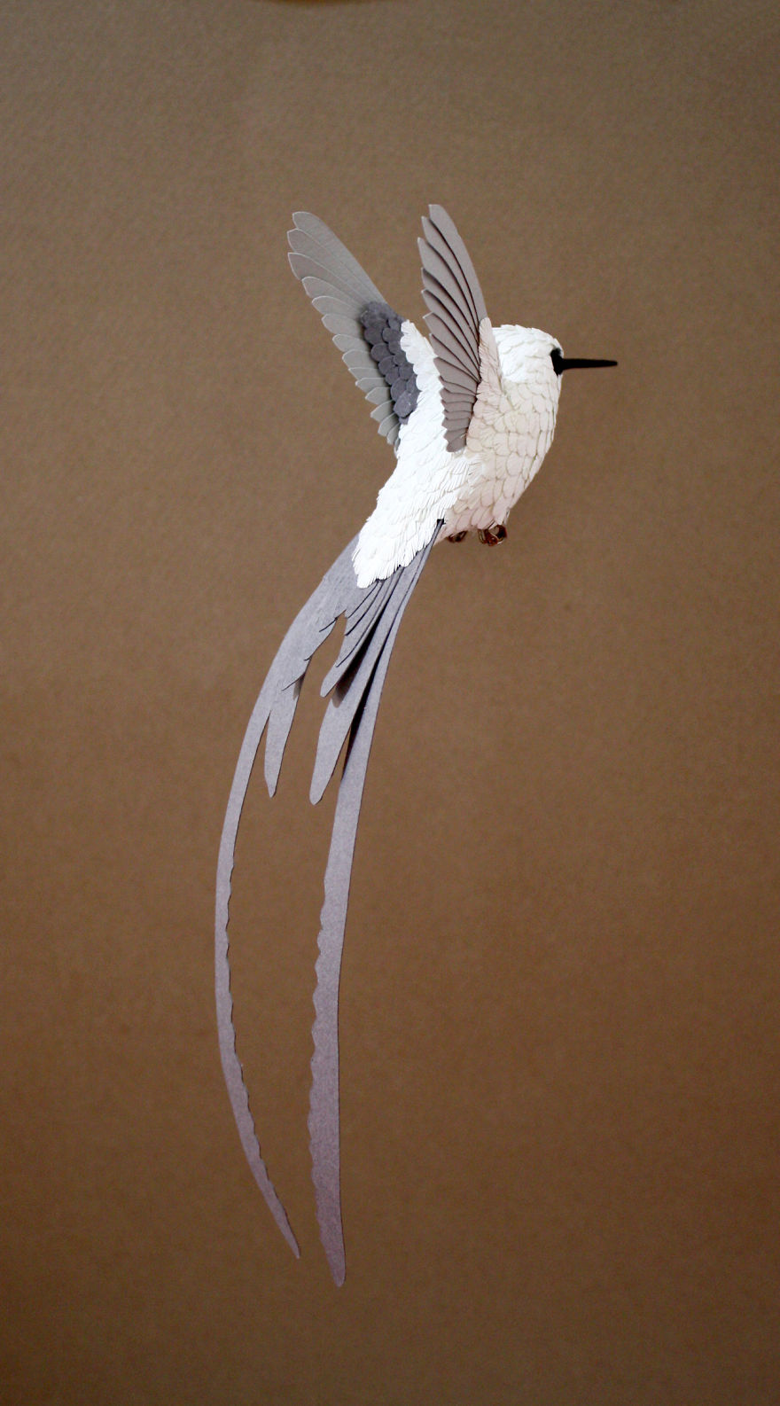 پرنده ی کاغذی 1