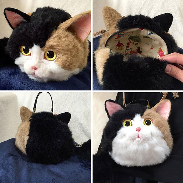 کیف های گربه ای 1