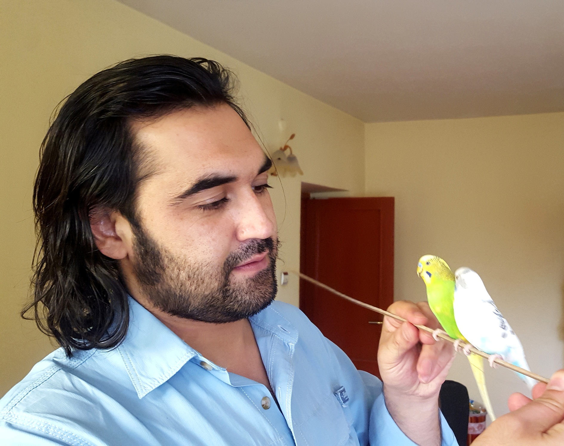 مرغکان عشق با عاشق شوریده احمد محمود امپراطور شاعر جوان داغ هجران دیده