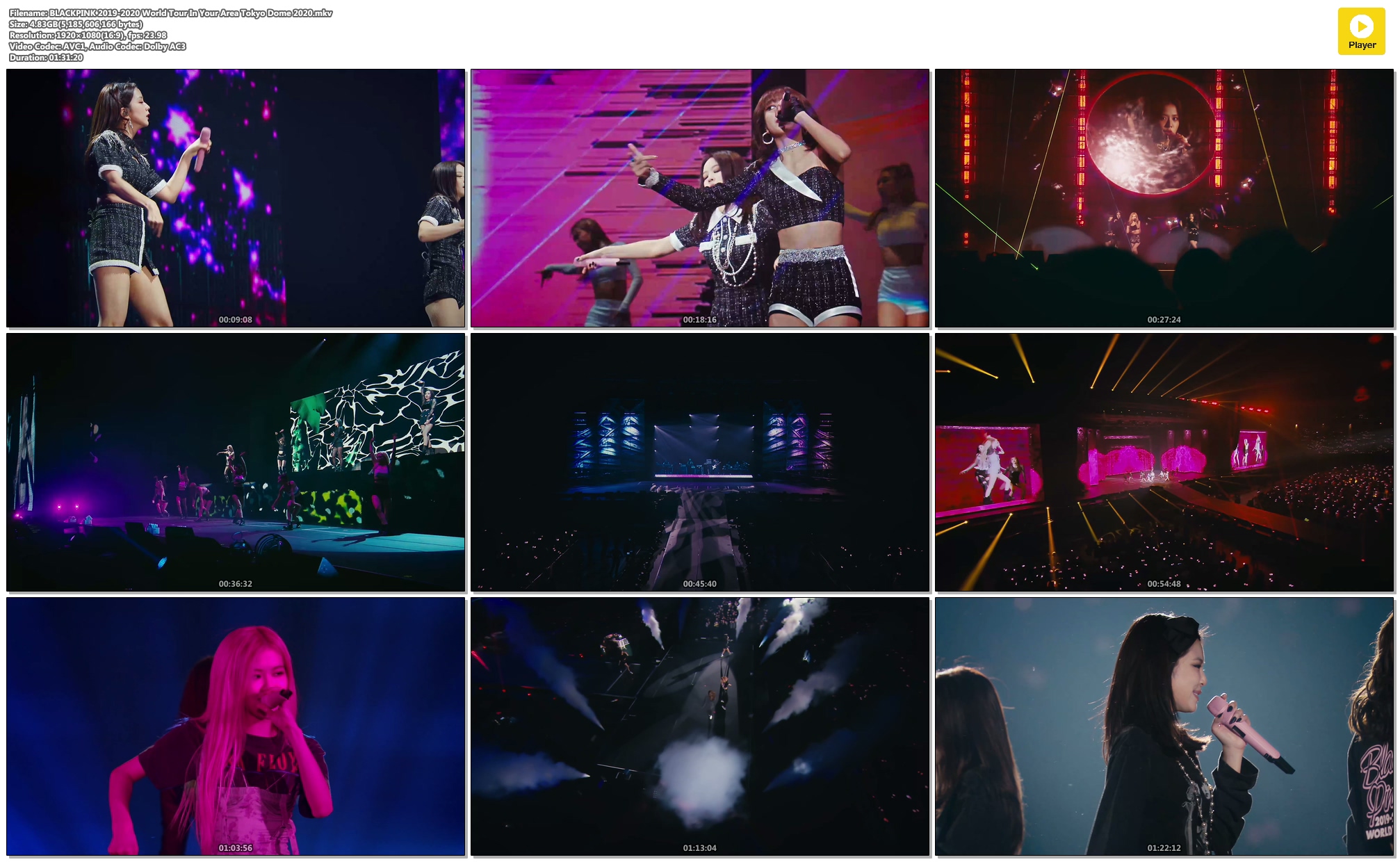 BDRiP - BLACKPINK 2019-2020 World Tour In Your Area - Tokyo Dome 2020