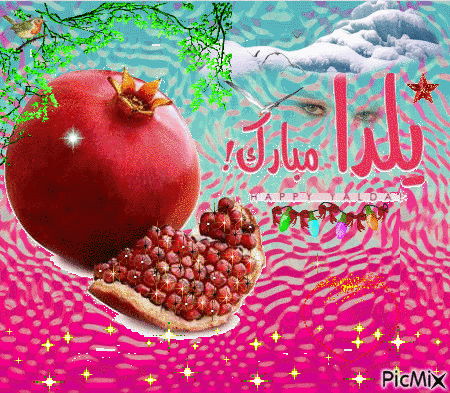 Shabahang's Gif & Animated.Happy Yalda . تصاویر متحرک شب یلدا . چلله . تصاویر متحرک شباهنگ