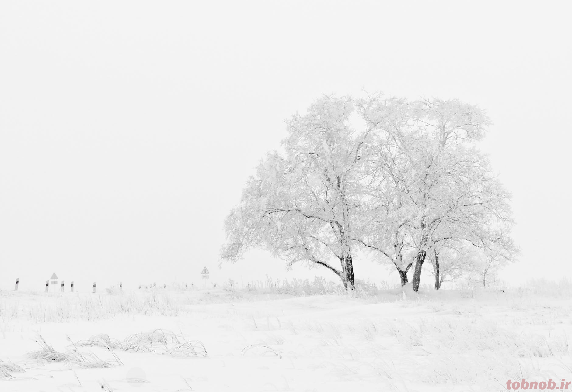 0kwk_winter-nature-season-trees-66284.png