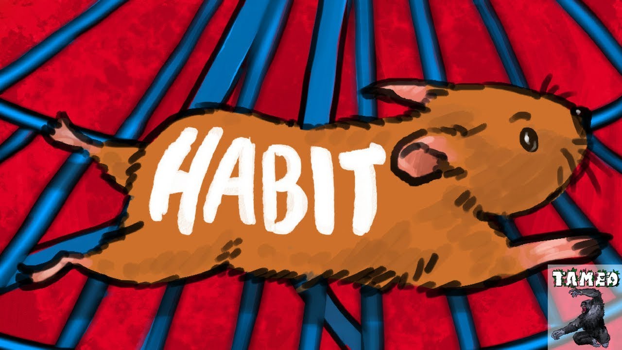 Rabbit or Habit?