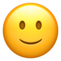 nt4_slightly-smiling-face_1f642.png