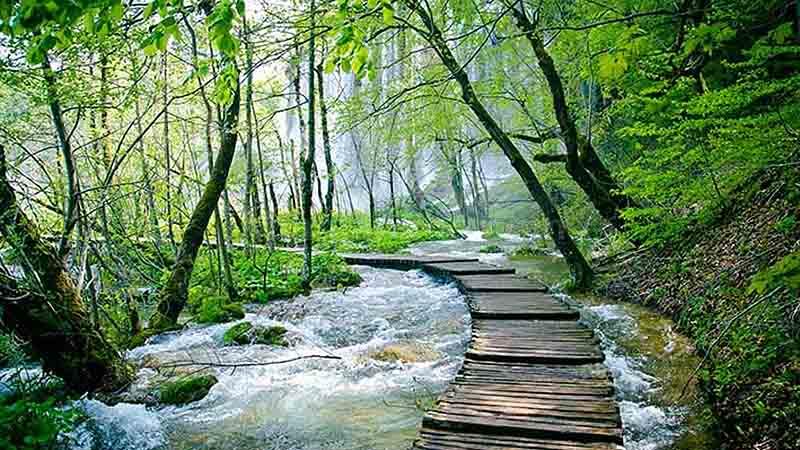 دیدنی ای شمال کشور